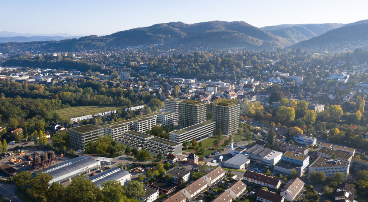 Web Stöcklin Gesamtareal